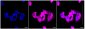 KD-Validated Anti-UCHL1 Rabbit Monoclonal Antibody